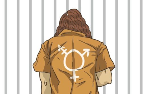 Mahpus LGBTİ+ ve Kadınlar, Tahliye Sonrası Hangi Sorunlarla Karşılaşıyor? - Toplumsal Cinsiyet Odaklı Habercilik Kütüphanesi